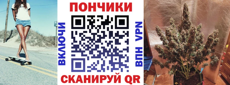 Бошки Шишки Малаховка