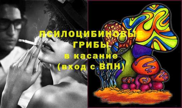 тгк Алексин