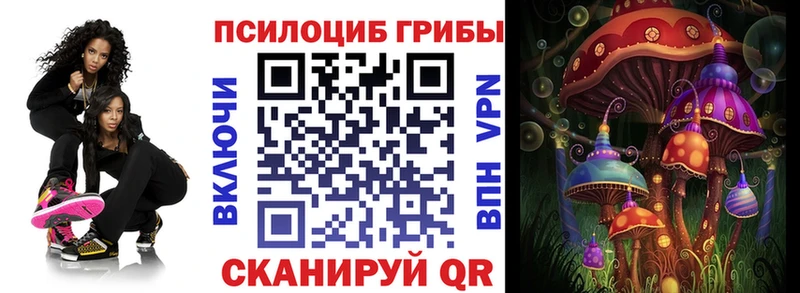 Псилоцибиновые грибы мицелий  Малаховка 